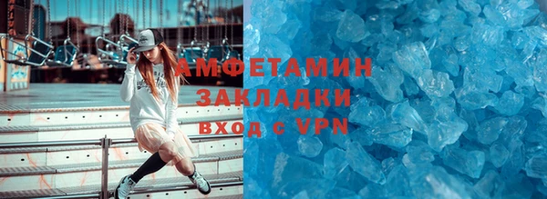 сатива Бородино