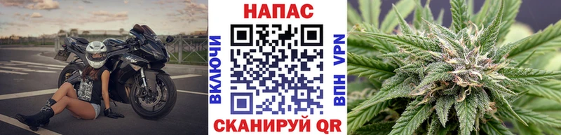 дарк нет формула  Рубцовск  Бошки марихуана конопля 